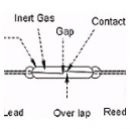 REED SWITCHES